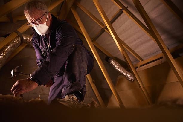 Best Attic Insulation Installation  in Durant, IA